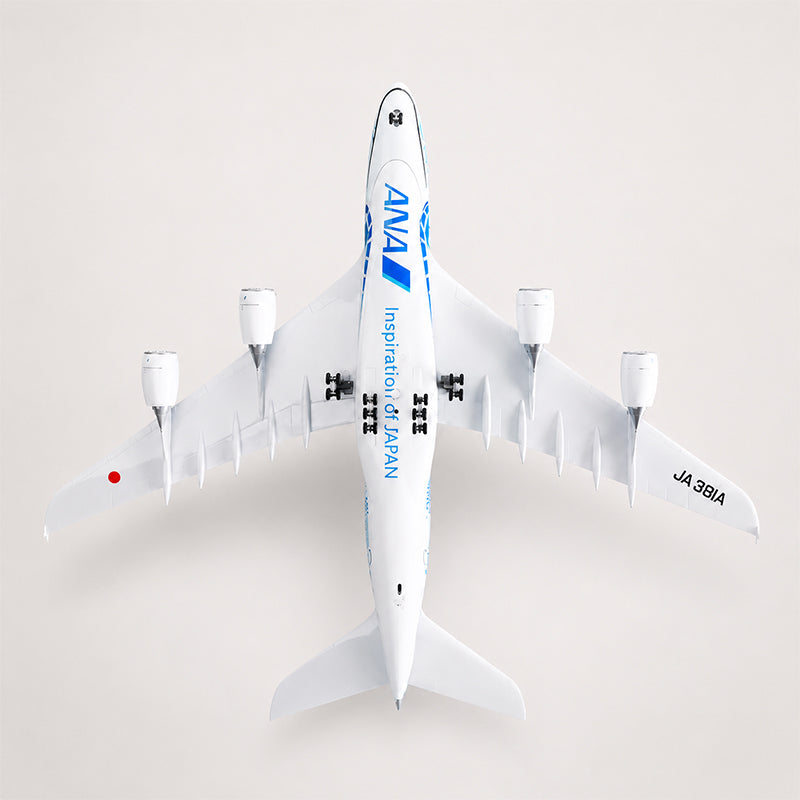 ◾️最新：ANA Airbus A380 1:160超大型サイズ A380 ANA Japan Blue Turtle – 1:160 Scale – 47cm (18.5